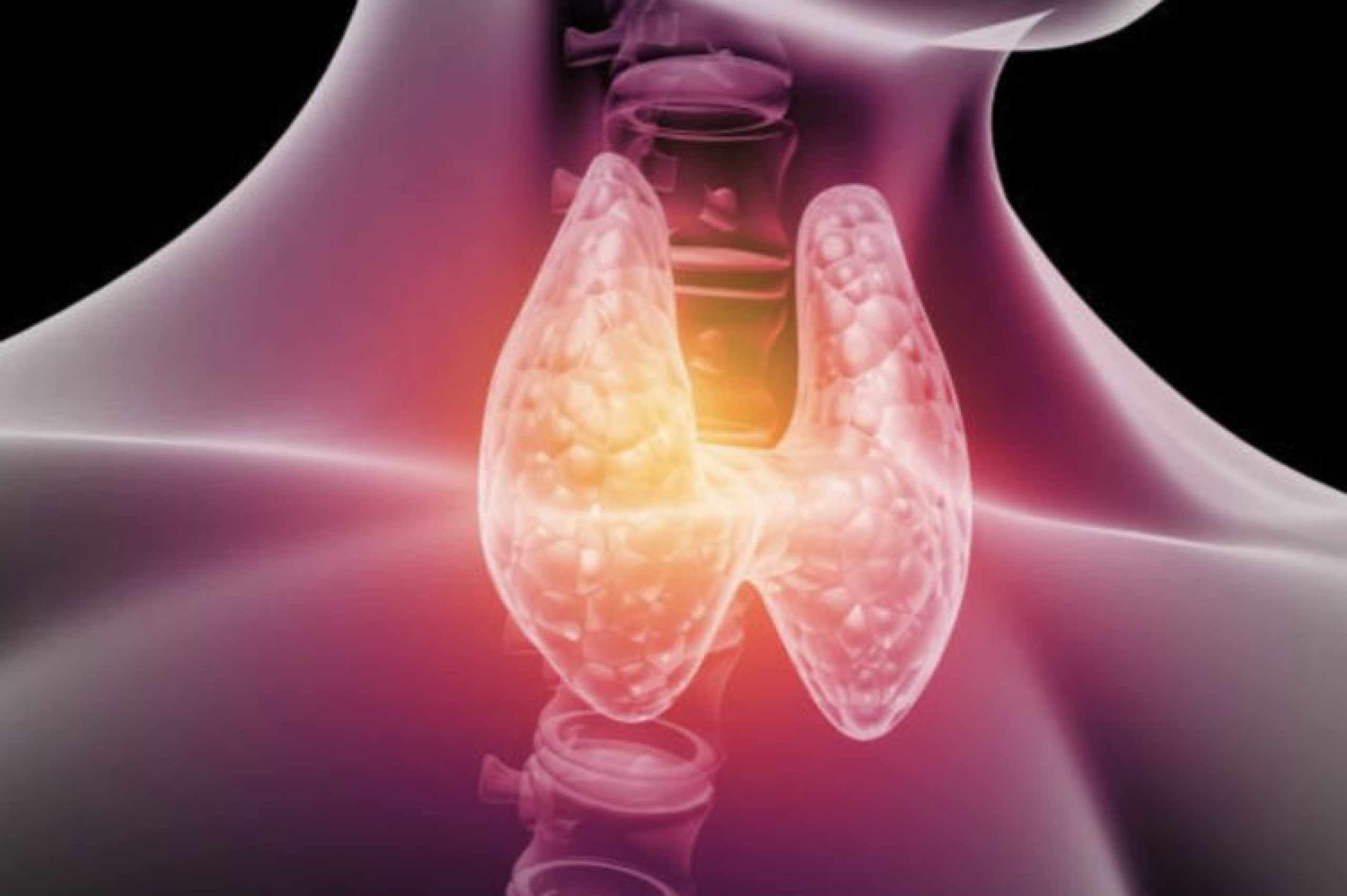 29504a03456a40dfa62b7e45cf9e0c7d